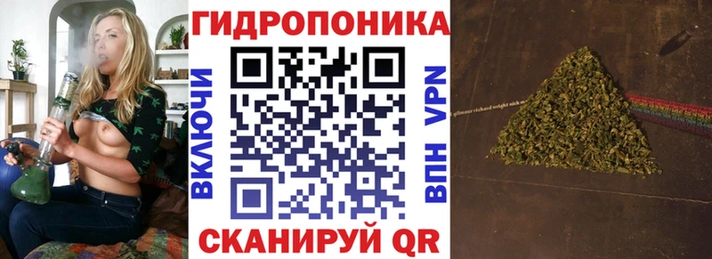 Купить закладку Гашиш КОКАИН Меф Каннабис Губкин
