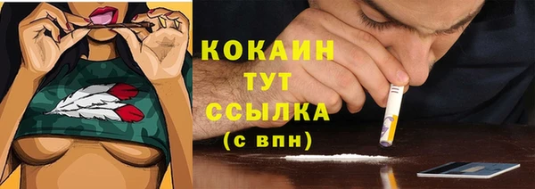 apvp Корсаков