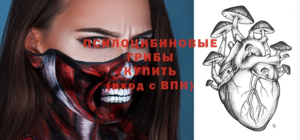 apvp Корсаков