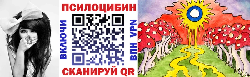 Купить где  Губкин  Галлюциногенные грибы MAGIC MUSHROOMS 