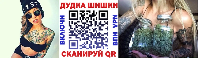 Купить закладки Губкин Канабис индика